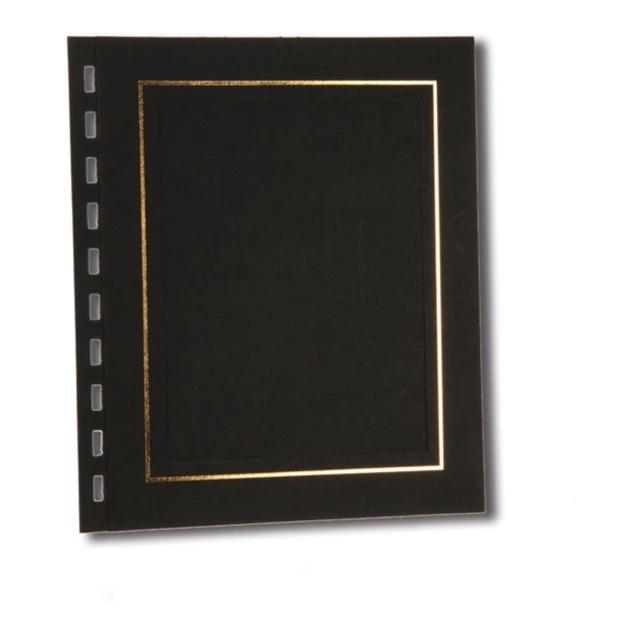 Black gold Advantage Album insert shown flat     Tyndell slip-in album insert