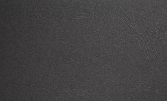 Prestige Mount in Black Gold close-up showing leather texture finish and gold foil border detail