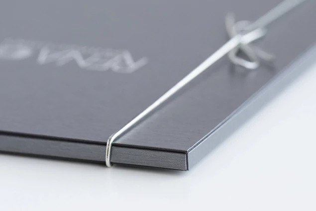 Steel Portrait Case showing foil imprinted studio logo on steel finish surface